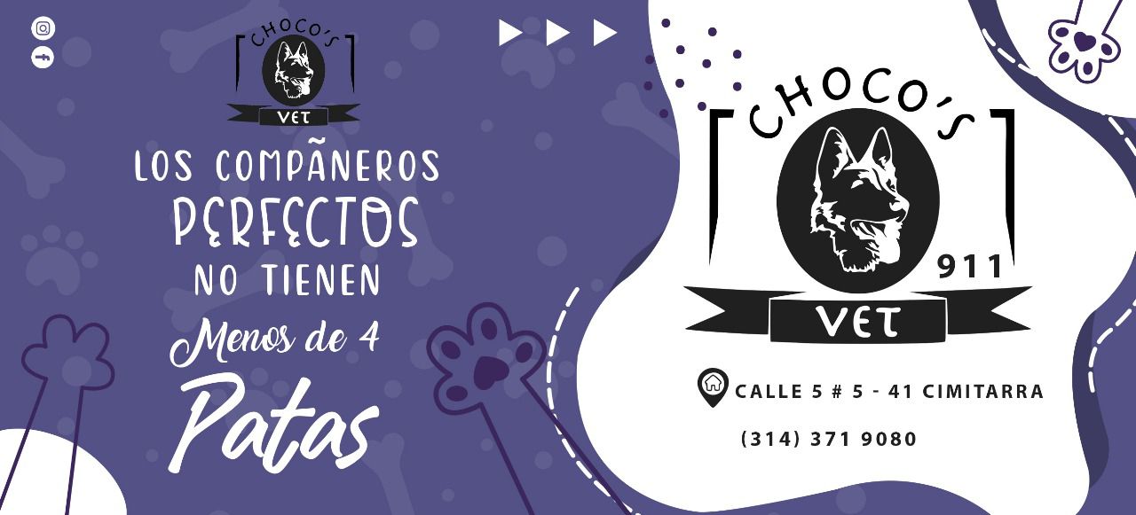 Choco's Vet - Clínica Veterinaria